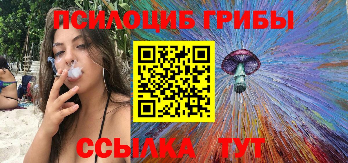 Галлюциногенные грибы Psilocybine cubensis Карачаевск